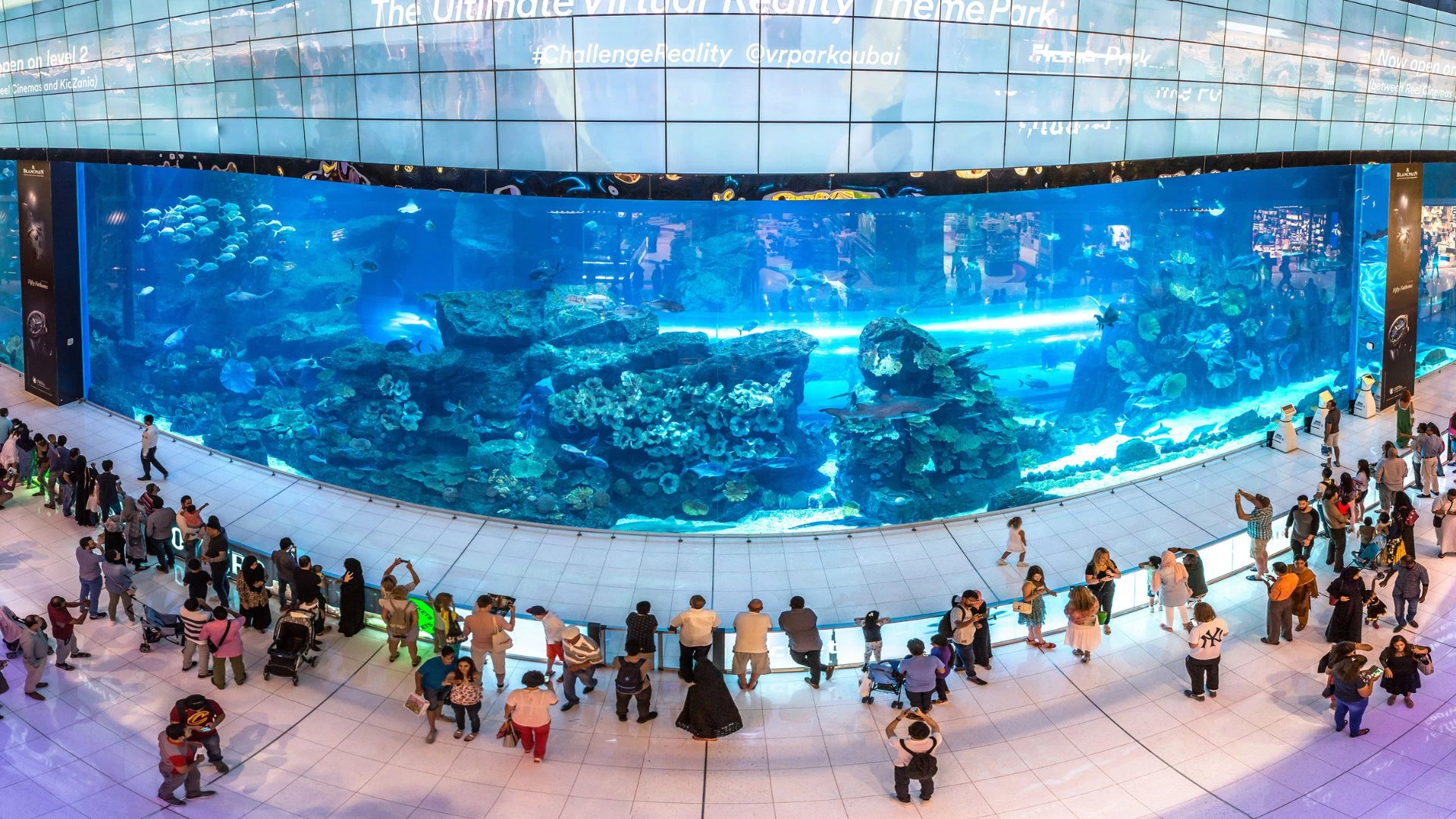 Acquario di Dubai, studiare l'inglese con ES