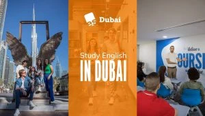 英語学校 英語コース 英語クラス ドバイ セルタコース セルタ資格